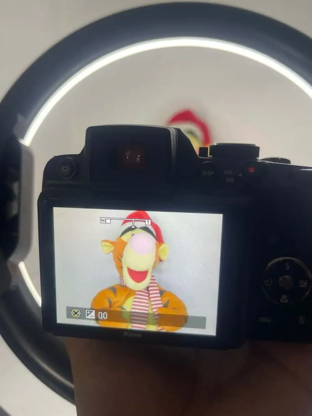 Nikon COOLPIX P100 10.3MP Digital Camera with 26x Optical Zoom